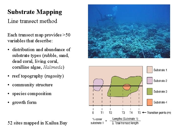 Substrate Mapping Line transect method Each transect map provides >50 variables that describe: •