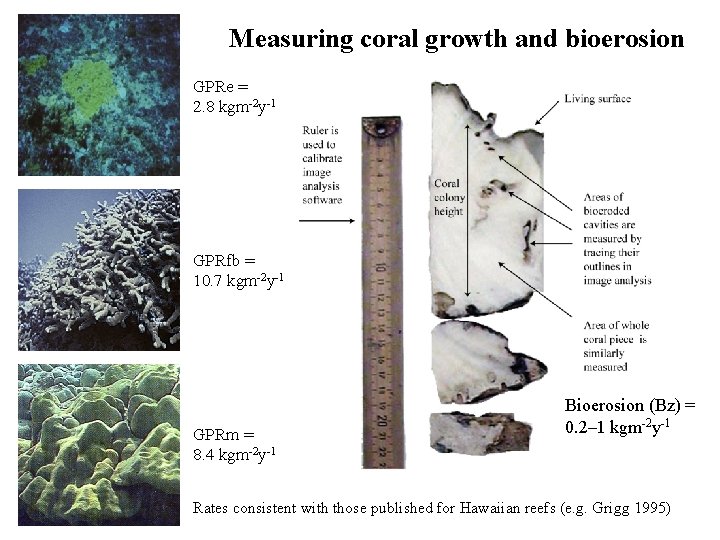 Measuring coral growth and bioerosion GPRe = 2. 8 kgm-2 y-1 GPRfb = 10.