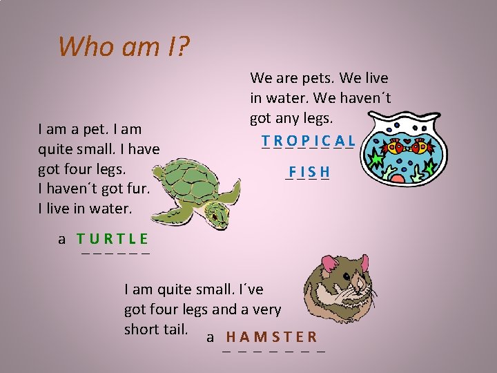 Who am I? I am a pet. I am quite small. I have got