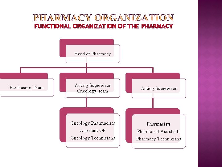 FUNCTIONAL ORGANIZATION OF THE PHARMACY Head of Pharmacy Purchasing Team Acting Supervisor Oncology team