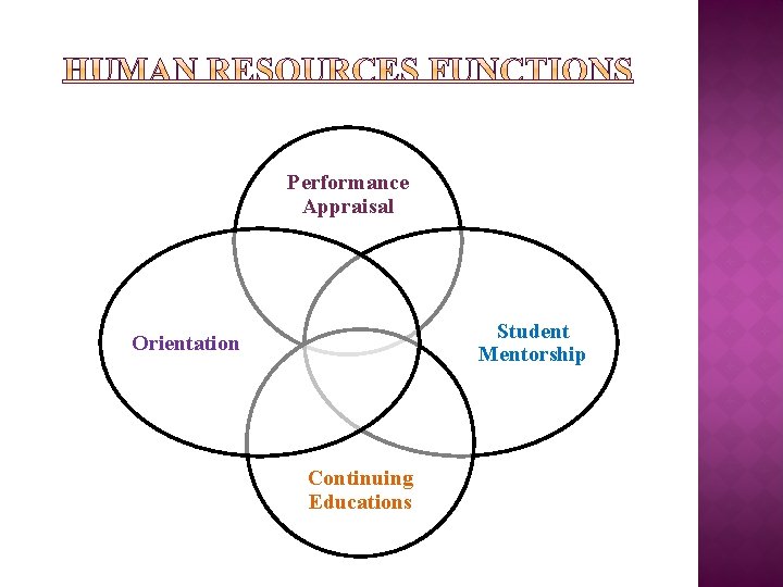 Performance Appraisal Student Mentorship Orientation Continuing Educations 