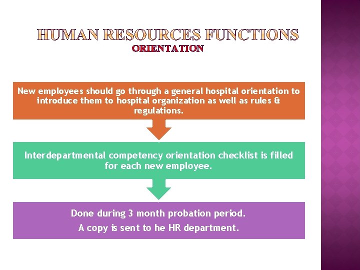 ORIENTATION New employees should go through a general hospital orientation to introduce them to