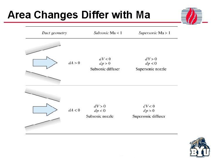 Area Changes Differ with Ma 
