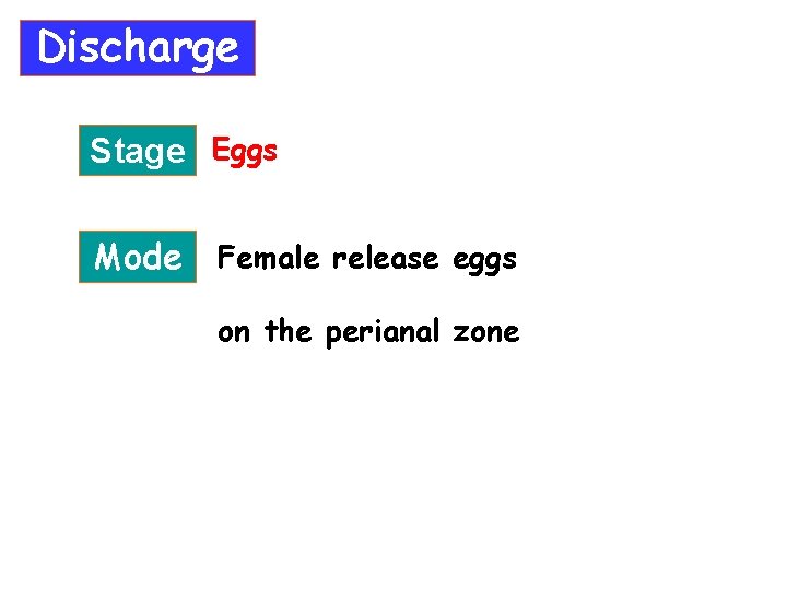 Discharge Stage Eggs Mode Female release eggs on the perianal zone 