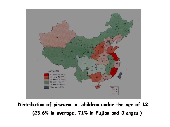 Distribution of pinworm in children under the age of 12 (23. 6% in average,