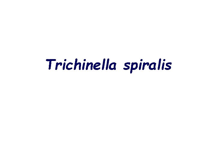 Trichinella spiralis 