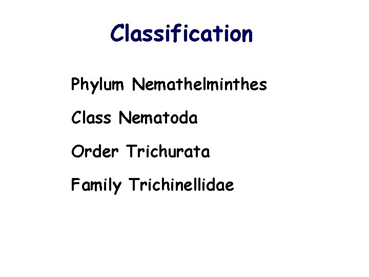 Classification Phylum Nemathelminthes Class Nematoda Order Trichurata Family Trichinellidae 