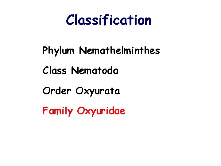 Classification Phylum Nemathelminthes Class Nematoda Order Oxyurata Family Oxyuridae 