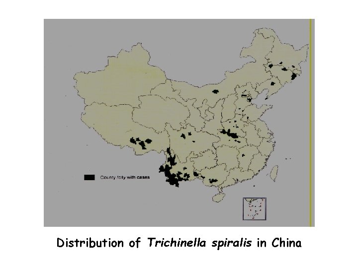 Distribution of Trichinella spiralis in China 