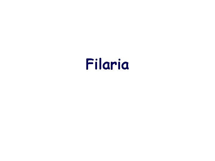 Filaria 