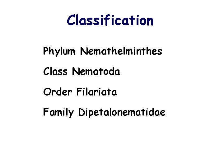 Classification Phylum Nemathelminthes Class Nematoda Order Filariata Family Dipetalonematidae 