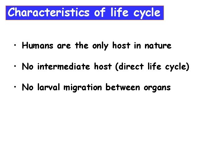 Characteristics of life cycle • Humans are the only host in nature • No