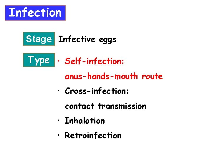 Infection Stage Infective eggs Type • Self-infection: anus-hands-mouth route • Cross-infection: contact transmission •