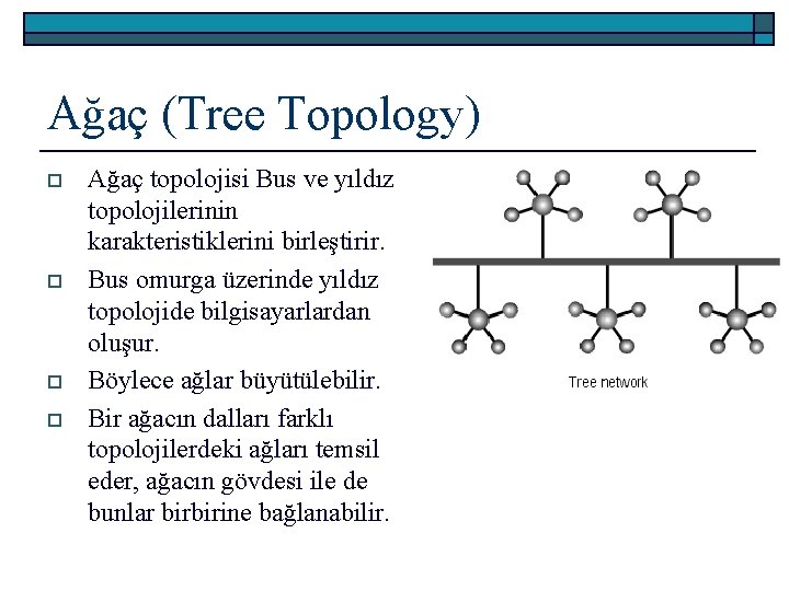 Ağaç (Tree Topology) o o Ağaç topolojisi Bus ve yıldız topolojilerinin karakteristiklerini birleştirir. Bus