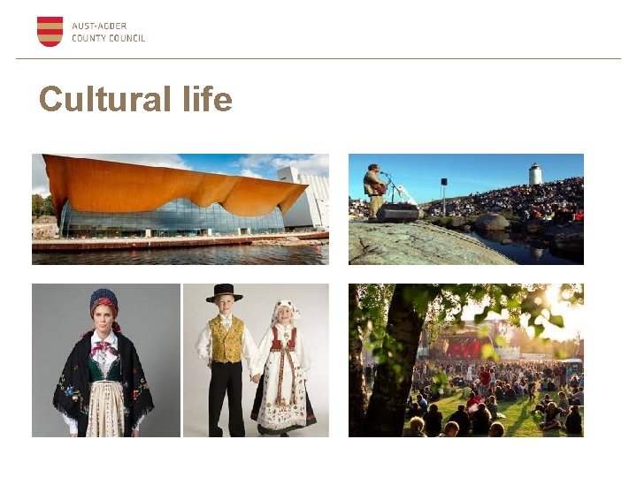 Cultural life 