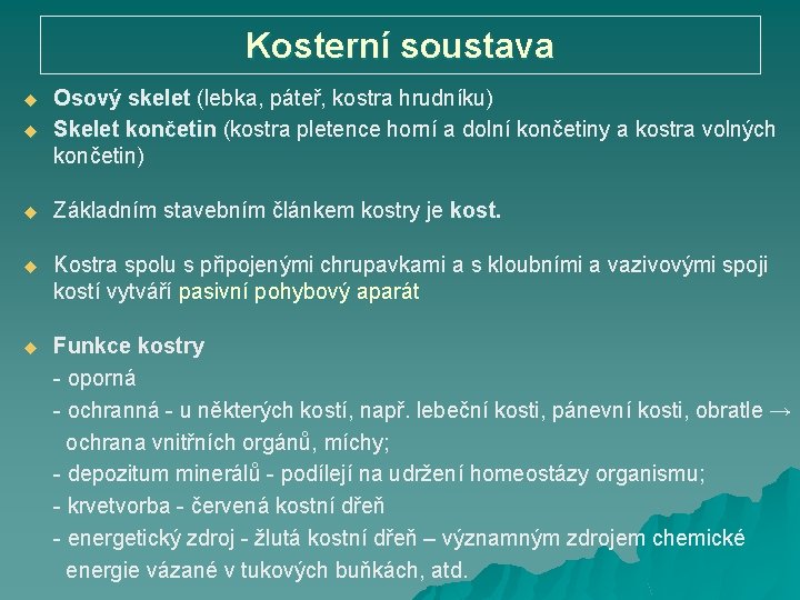 Kosterní soustava u Osový skelet (lebka, páteř, kostra hrudníku) Osový skelet Skelet končetin (kostra