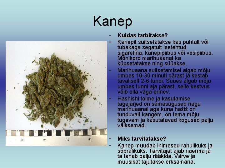 Kanep • • • Kuidas tarbitakse? Kanepit suitsetatakse kas puhtalt või tubakaga segatult isetehtud