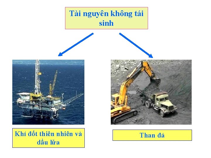 Tài nguyên không tái sinh Khí đốt thiên nhiên và dầu lửa Than đá