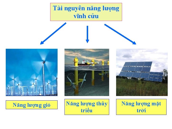 Tài nguyên năng lượng vĩnh cửu Năng lượng gió Năng lượng thủy triều Năng