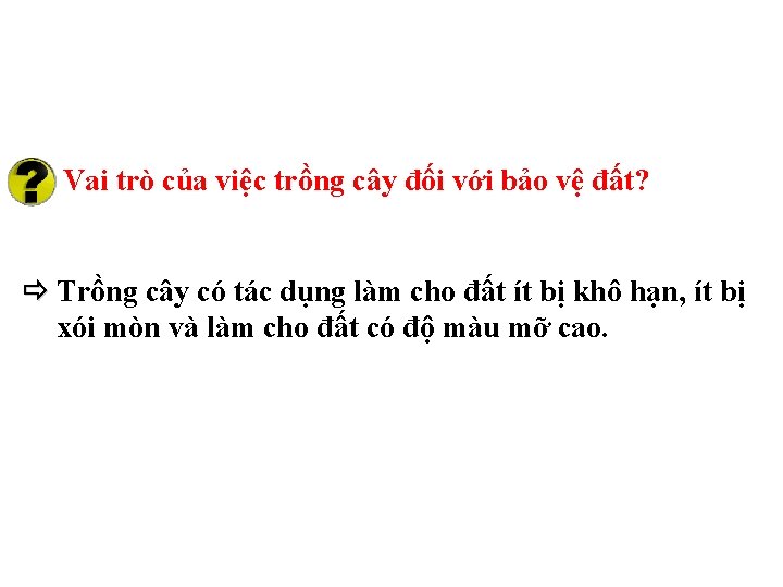 Vai trò của việc trồng cây đối với bảo vệ đất? Trồng cây có