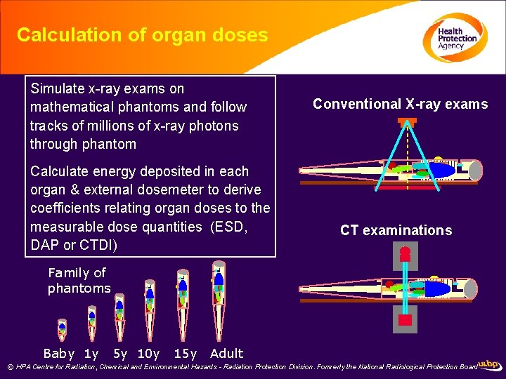 Calculation of organ doses Simulate x-ray exams on mathematical phantoms and follow tracks of