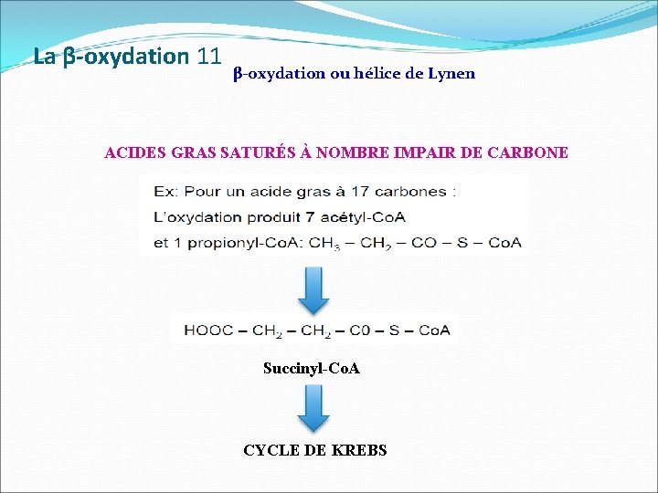 La β-oxydation 11 β-oxydation ou hélice de Lynen ACIDES GRAS SATURÉS À NOMBRE IMPAIR
