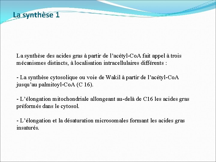  La synthèse 1 La synthèse des acides gras à partir de l’acétyl-Co. A