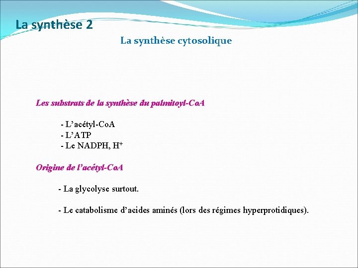 La synthèse 2 La synthèse cytosolique Les substrats de la synthèse du palmitoyl-Co. A