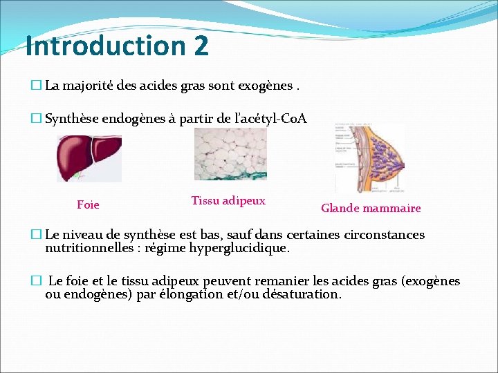 Introduction 2 � La majorité des acides gras sont exogènes. � Synthèse endogènes à