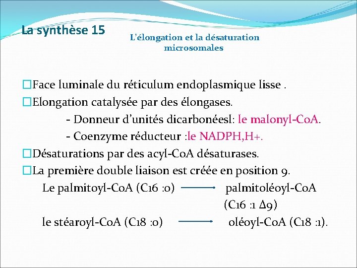 La synthèse 15 L’élongation et la désaturation microsomales �Face luminale du réticulum endoplasmique lisse.