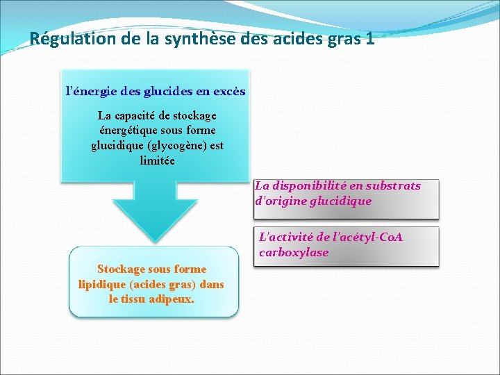 Régulation de la synthèse des acides gras 1 l’énergie des glucides en excès La