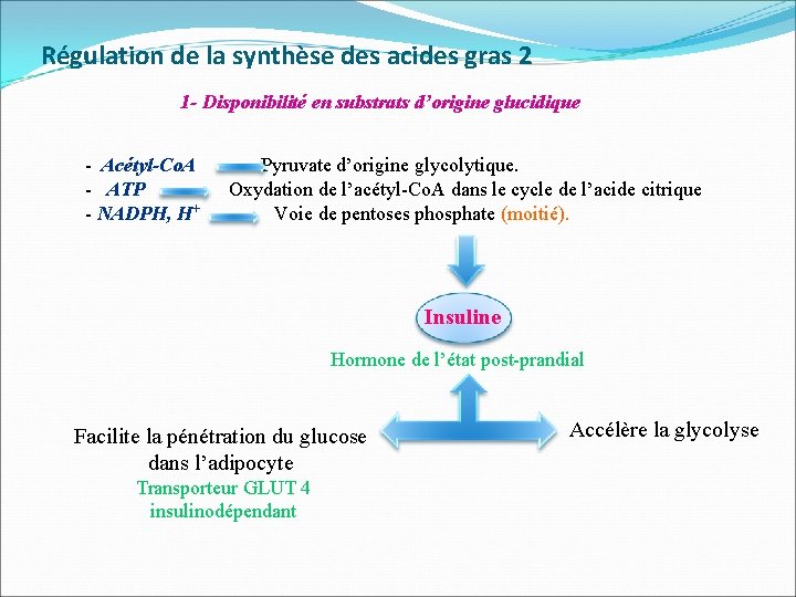 Régulation de la synthèse des acides gras 2 1 - Disponibilité en substrats d’origine