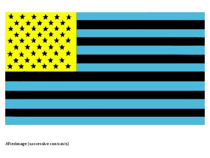 Afterimage (successive contrasts) 