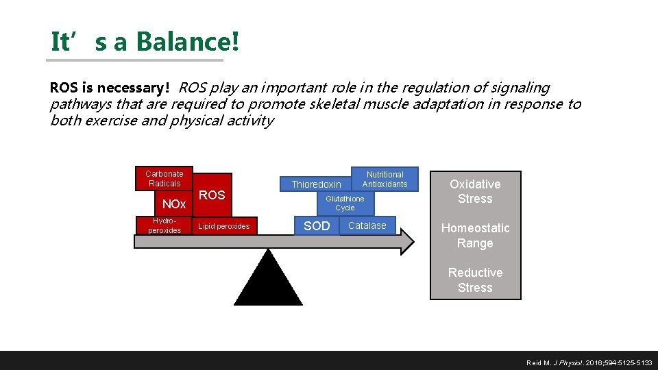 It’s a Balance! ROS is necessary! ROS play an important role in the regulation