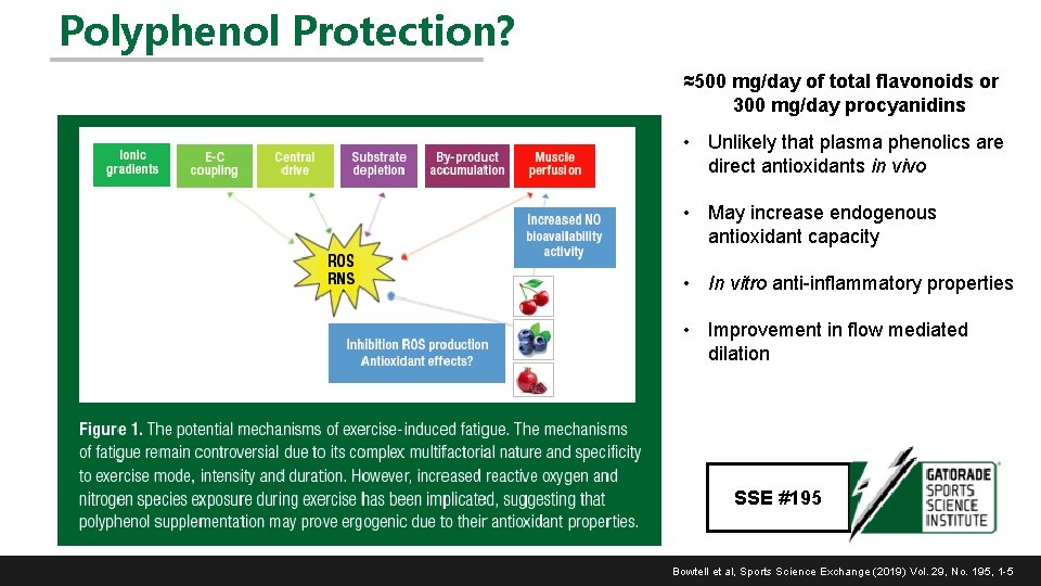 Polyphenol Protection? ≈500 mg/day of total flavonoids or 300 mg/day procyanidins • Unlikely that