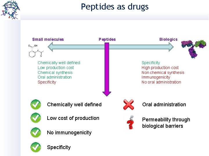 Peptides as drugs Small molecules Peptides Chemically well defined Low production cost Chemical synthesis