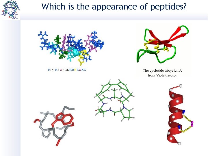 Which is the appearance of peptides? 