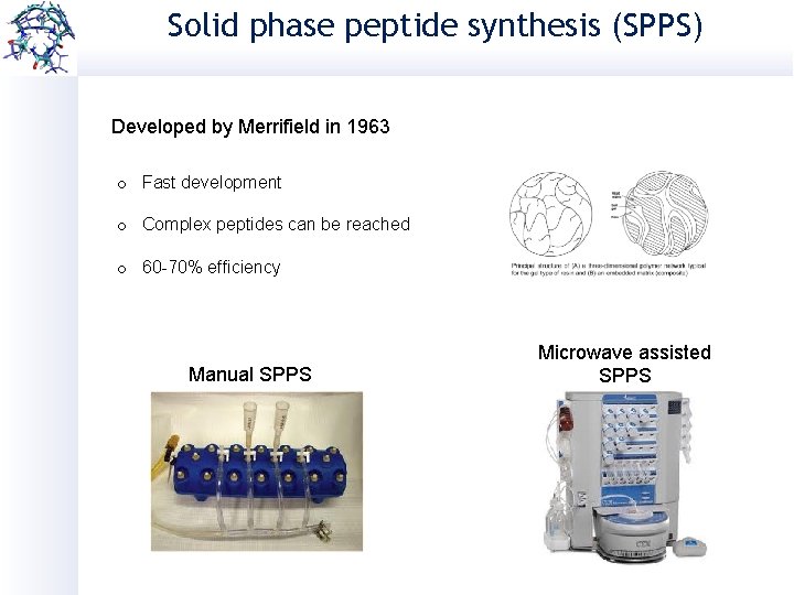 Solid phase peptide synthesis (SPPS) Developed by Merrifield in 1963 o Fast development o