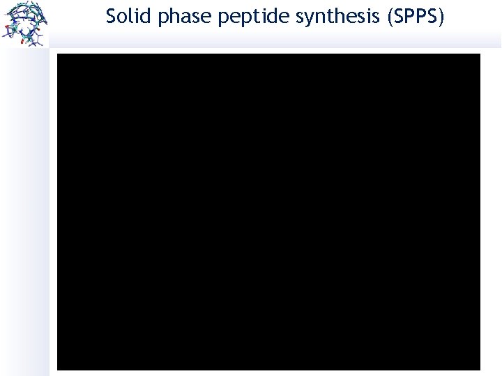 Solid phase peptide synthesis (SPPS) 