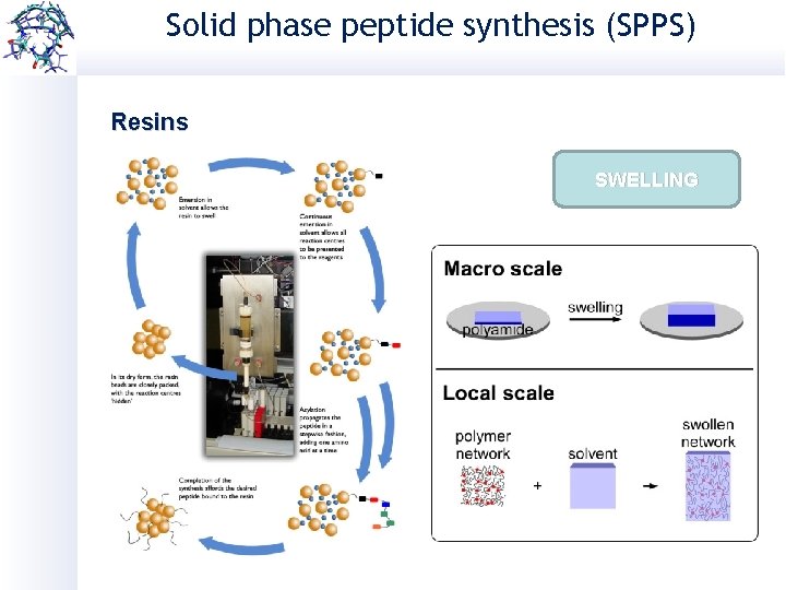 Solid phase peptide synthesis (SPPS) Resins Wang SWELLING 2 -Chlorotrityl chloride Rink amide Chemmatrix