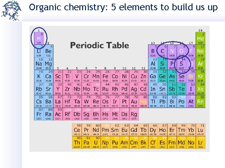 Organic chemistry: 5 elements to build us up 