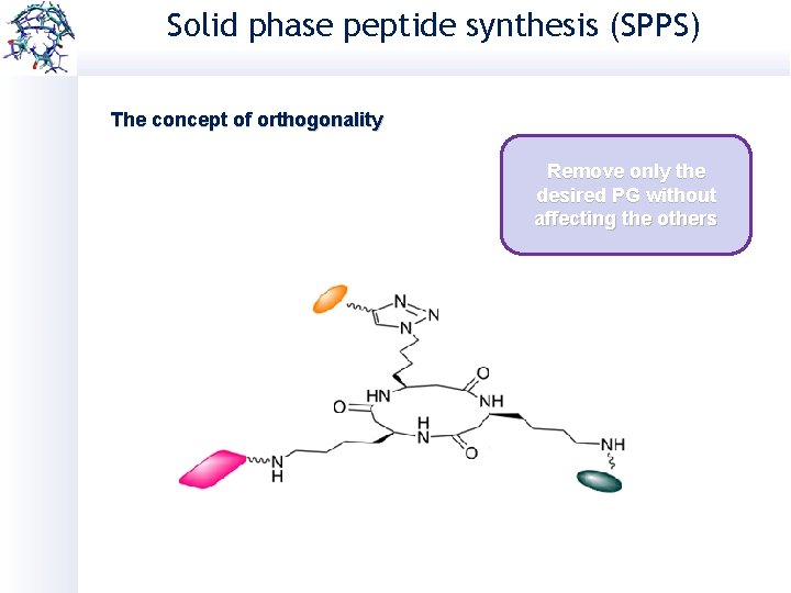 Solid phase peptide synthesis (SPPS) The concept of orthogonality Remove only the desired PG