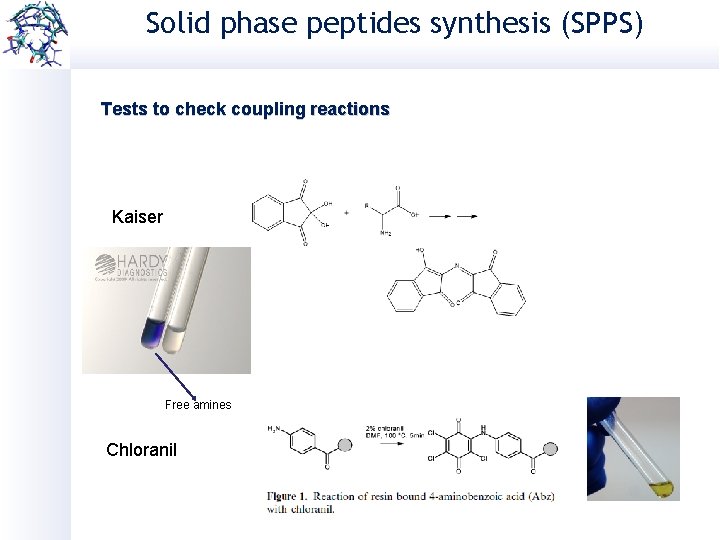 Solid phase peptides synthesis (SPPS) Tests to check coupling reactions Kaiser Free amines Chloranil