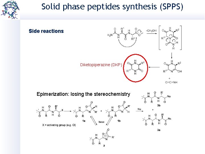 Solid phase peptides synthesis (SPPS) Side reactions Diketopiperazine (DKP) Epimerization: losing the stereochemistry 