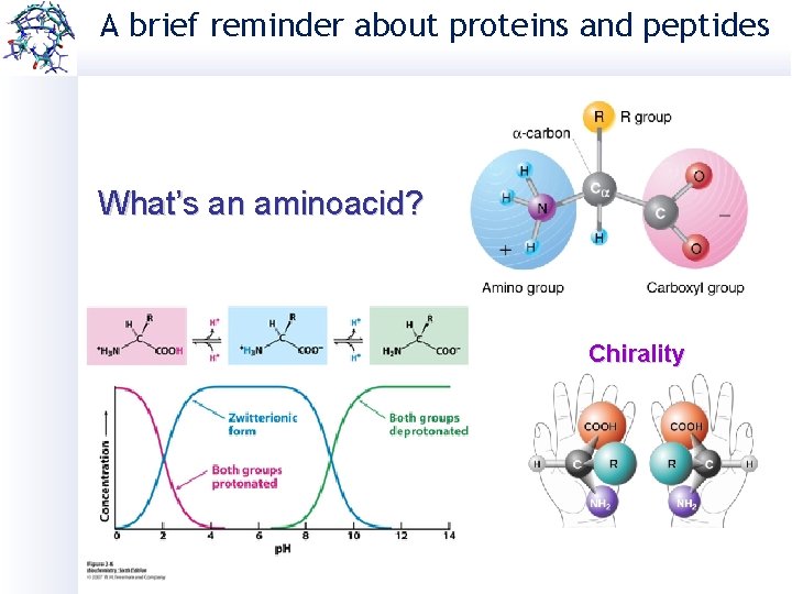 A brief reminder about proteins and peptides What’s an aminoacid? Chirality 