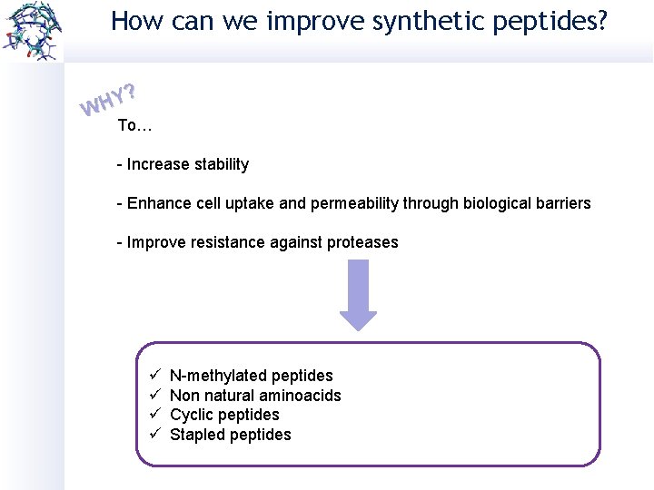 How can we improve synthetic peptides? Y? H W To… - Increase stability -
