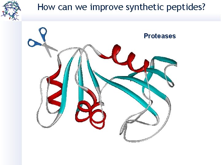 How can we improve synthetic peptides? Proteases 