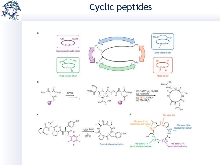 Cyclic peptides 