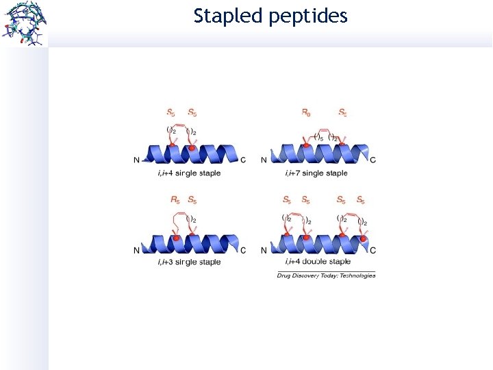 Stapled peptides 