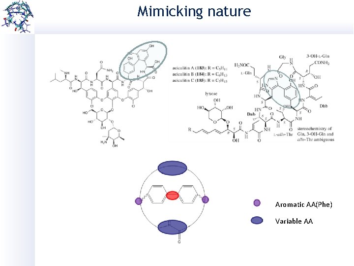 Mimicking nature Aromatic AA(Phe) Variable AA 
